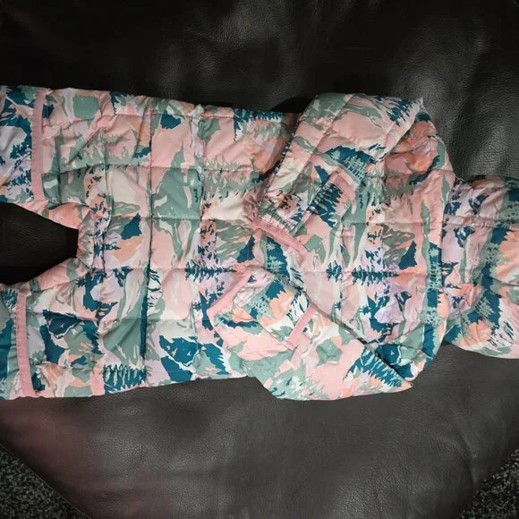 Infant North Face snowsuit - Picture 3 of 3